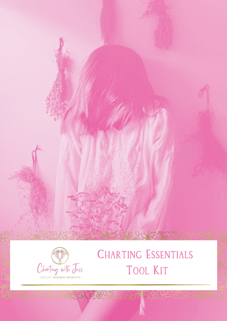 Charting Essentials Toolkit Ebook - Charting with Jess